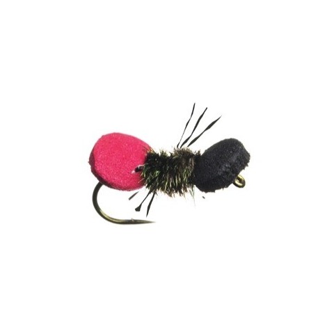 Steves Cow Killer Ant
