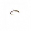Anorexic Buzzer Hares Ear