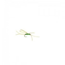Apps Bloodworm Olive