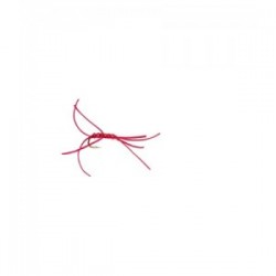 Apps Bloodworm Red