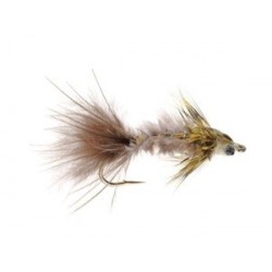 Bears Saddleback Hex