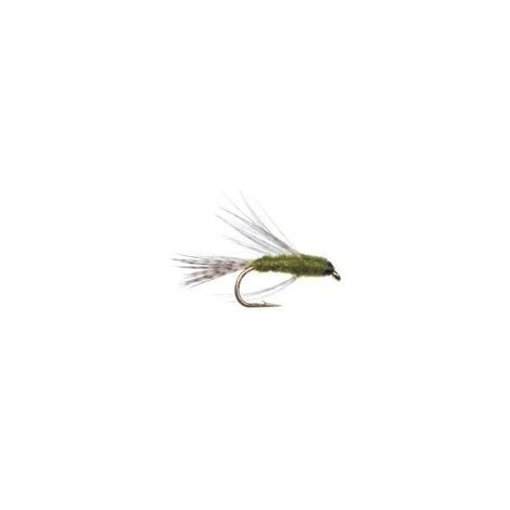 Birds Nest Olive