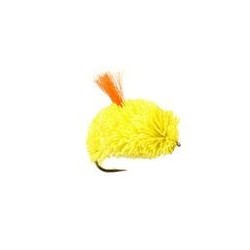 Biscuit Yellow