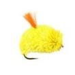 Biscuit Yellow
