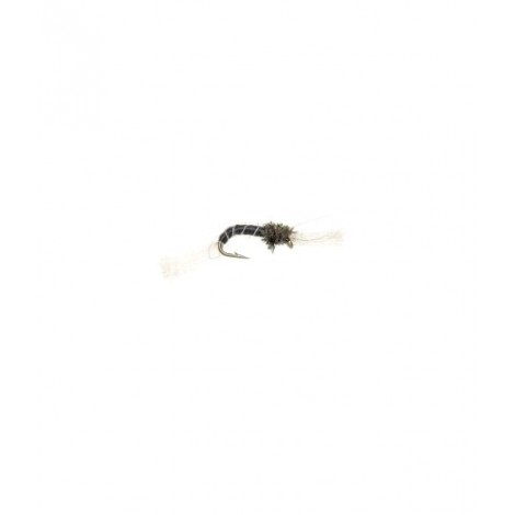 Black Buzzer