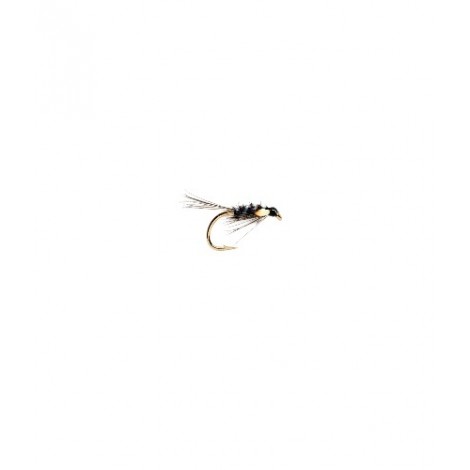 Black Holographic Diawl Bach