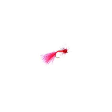 Bloodworm