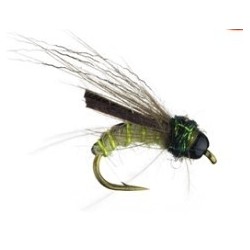 Caddis Trophic Pupa Olive