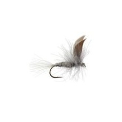 CDC Blue Dun Dry