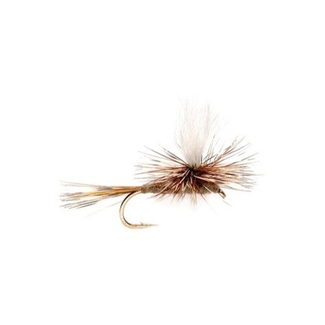 Adams Parachute