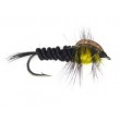 Montana Nymph