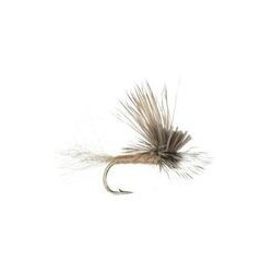 Crippled Caddis