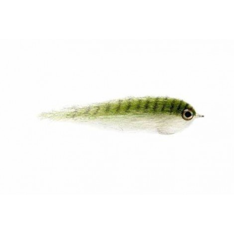 Salty Baitfish Anchovy