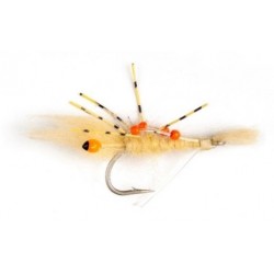 Sand Prawn
