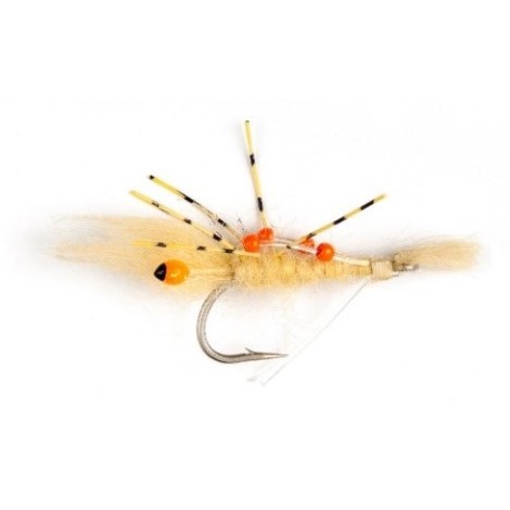 Sand Prawn