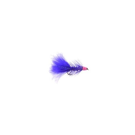 Egg Sucking Leech Purple