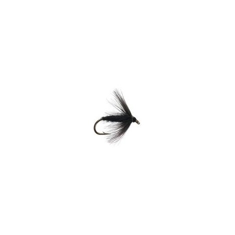 Black Spider Wet