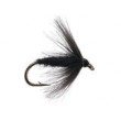 Black Spider Wet
