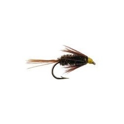 Carey Special Peacock
