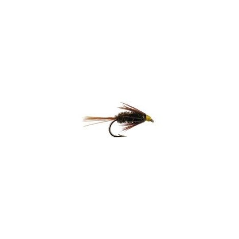 Carey Special Peacock