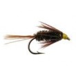 Carey Special Peacock