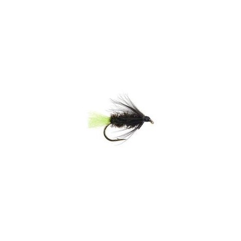 Peacock Spider Green Tag