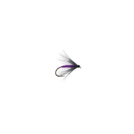 Snipe Purple
